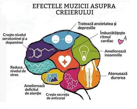 Infografic: Efectele muzicii asupra dezvoltării bebelușului