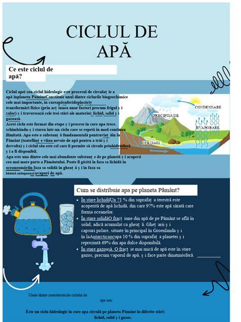 Infografic: Ciclul vizitei la pediatru si componentele unei consultatii