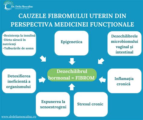 Infografic: Cum afectează localizarea fibromului uterin fertilitatea și sarcina