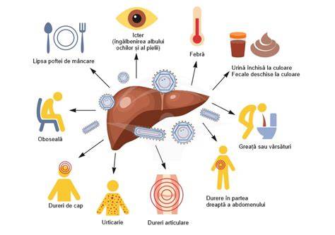 Infografic: cum protejează vaccinul hepatita B ficatul
