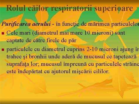 Schema: rolul nasului în protejarea căilor respiratorii la sugari