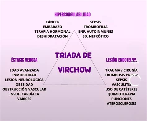 Infografic: triada lui Virchow si conexiunea cu trombofilia