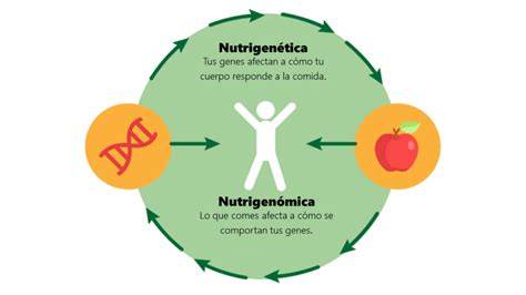 Infografie: Nu-născută în detaliu, dar ilustrând nutrigenetica, epigenetica nutrițională și fluxul de cercetare