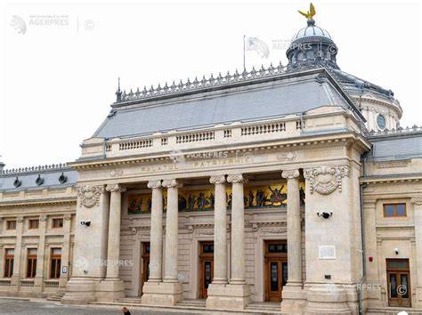 Grafic: fluxul de colaborare în Institutul Matei Balș