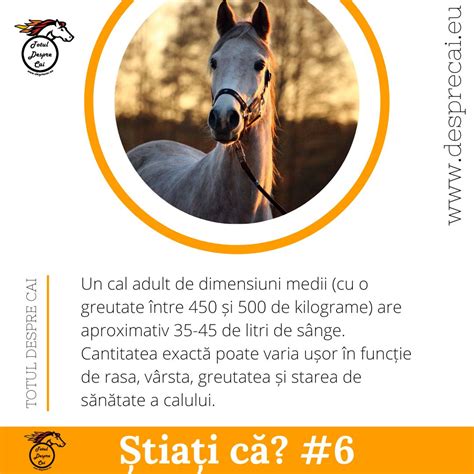 Inscripție infografică despre etiologia colicilor la cai