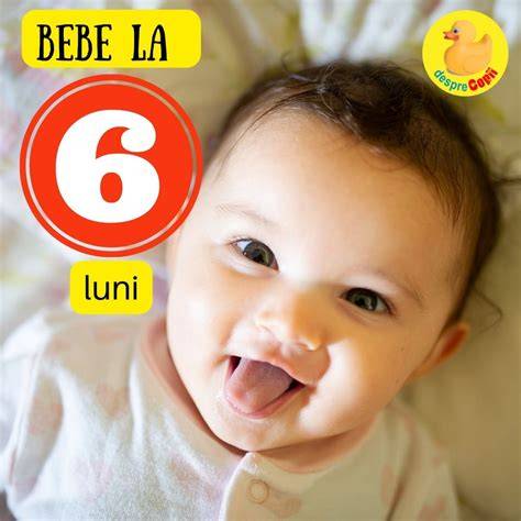 Infografic: la 6 luni - dezvoltare și semne ale fericirii