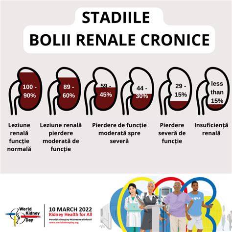 Infografic: Modificări renale în sarcină (trimestrul I) - dilatarea pielocaliceală, creșterea fluxului sangvin renal, scăderea creatininei