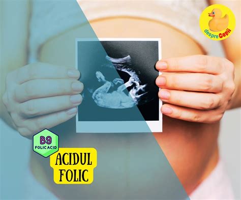 Infografic - Rolul acidului folic in sarcina si impactul asupra fatului