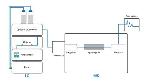 Diagramă flux screening neonatal: prelevare, analiză LC-MS/MS, comunicare rezultate