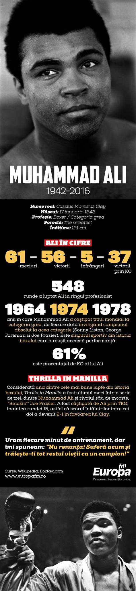 Infografic: cariera si lucrari ale lui Bebe Mihăescu