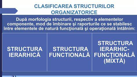 Representare vizuală a structurilor evaluate la morfologia trimestrului II