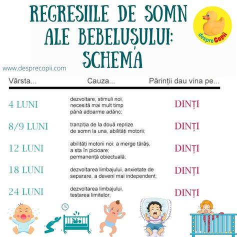 Cartoon infographic: schema somnului si alimentatiei bebelusului de 2 luni