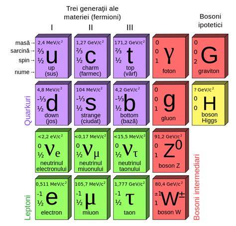 Infografic: Modelul Standard al particulelor: fermioni vs bosoni și rolul fiecărei familii