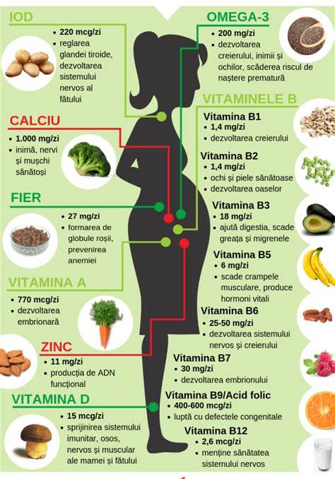 Infografic: Elemente cheie ale dietei în sarcină - proteine, calciu, fier, folati, omega-3, fibre