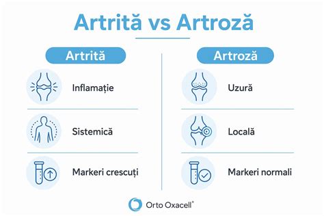 Infografic: Diferențe dintre greturi matinale și sarcină toxica