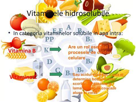 Diagramă despre vitaminele liposolubile și cele solubile în apă