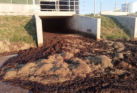 Compostare și gunoi de grajd