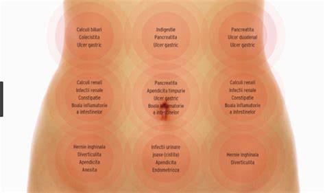 Infografic: Dureri abdominale în sarcină - trimestrele II