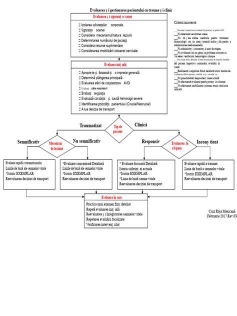 Diagrame de flux: evaluarea alergiilor, pașii consultului, testele prick, imunoterapie