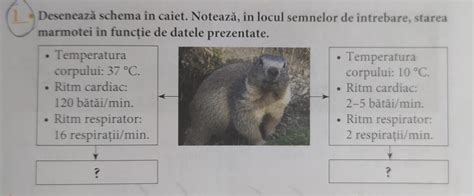Schema alegerea formulei în funcție de vârstă și nevoi