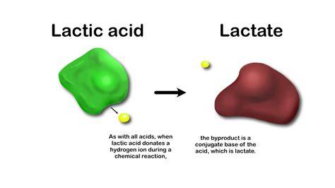 Diagrama: „Lactate sigure în sarcină vs. lactate cu risc”