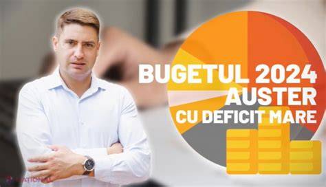 Schema interacțiunilor dintre bugetul de stat, ONG-uri și servicii de sănătate reproductivă