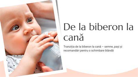 Grafic: etapele tranziției de la alăptare la biberon și apoi la cană