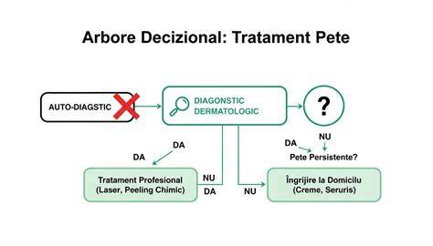 Schema decizională TTGO: pașii de la pregătire la diagnostic