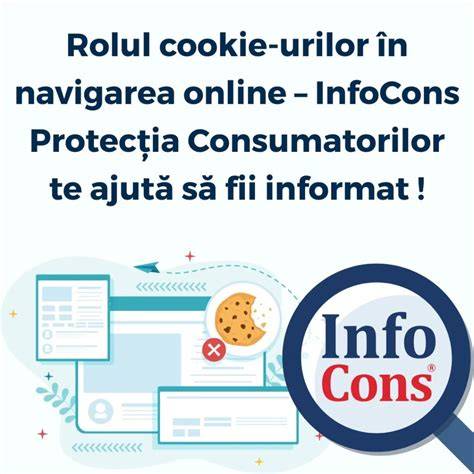 Infografic despre rolul cookie-urilor în personalizarea conținutului pe platforme pentru adulți
