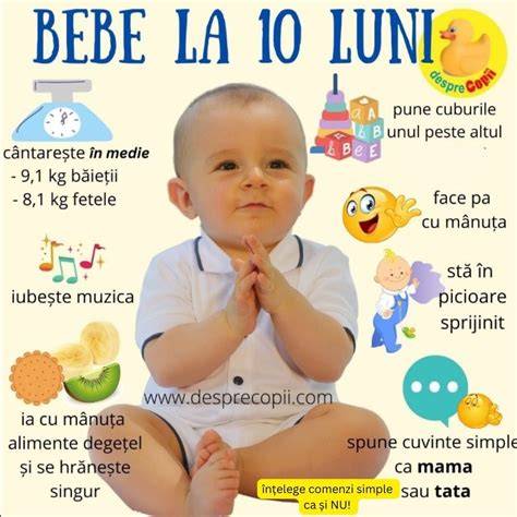Infografic: jucării recomandate pentru bebe de 10 luni - tipuri, scopuri, siguranță