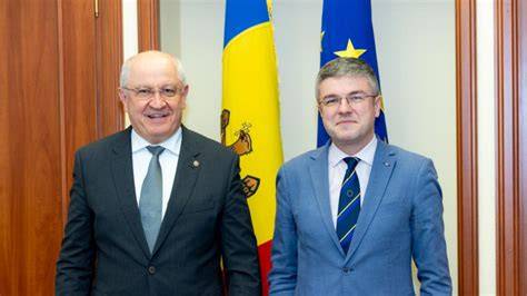 Diagramă a colaborării dintre actori în proiecte comune