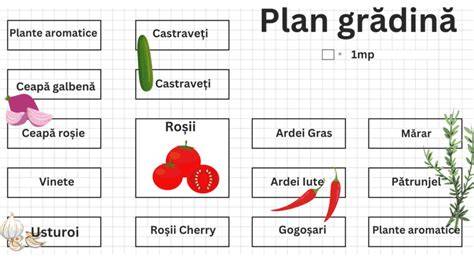 Planul de casă și împărțirea responsabilităților în familie