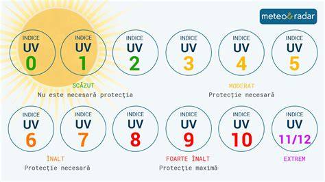 Infografic: cum se alege corect indicele de sarcină și de viteză
