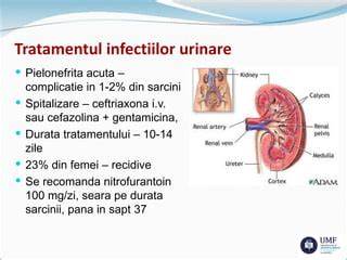 Diagrama riscurilor si a mecanismelor de transmitere a infectiilor urinare in timpul sarcinii