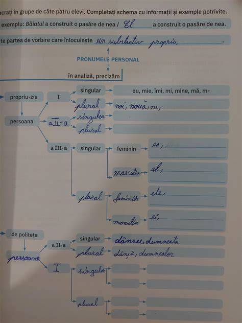 Schema adaptării garderobei în funcție de trimestru