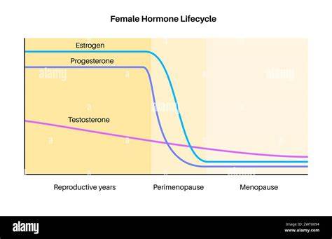 Schema procesului hormonal si a fazelor lactatiei