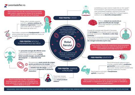 Infografic despre impactul fierului în sarcină, aport zilnic recomandat și principalele surse alimentare