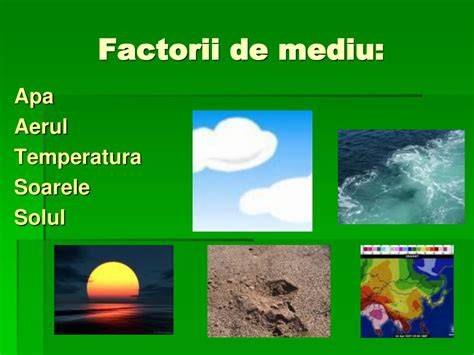 Infografic despre EXPOZOM si factorii de mediu care accelerează îmbătrânirea pielii