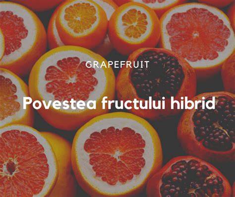 Grapefruit: infografic privind vitaminele, fibrele și potasiul din grapefruit