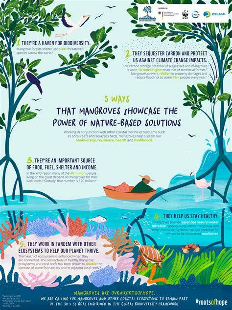 WiFi_impact_somn_copii_infographic