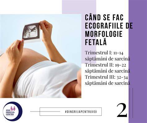 ecografie sarcina morfologie fetala