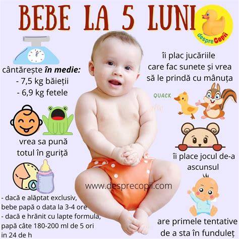 Infografie despre etapele dezvoltarii bebelusului la 5 luni