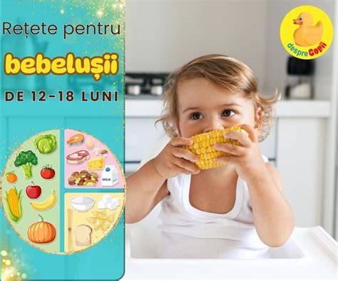 Infografic: Regimul zilnic de alimente pentru bebelușii de 11 luni (porții, tipuri de alimente, frecvență