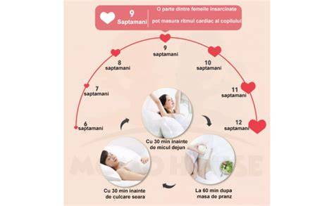 Infografic: etape monitorizare ritm cardiac fetal, localizare senzori, etape interpretare