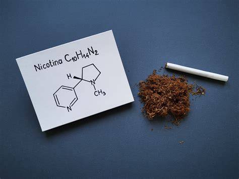 schematic-placenta-nicotina-carbon-oxides