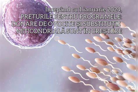 Infografic: Pașii principali ai donării de ovocite și FIV