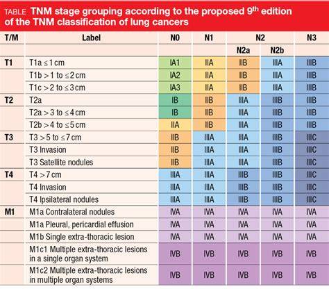 Infografic: Clasificarea stadiilor cancerului endometrial (TNM)