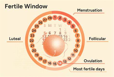 infografic_zile_fertile