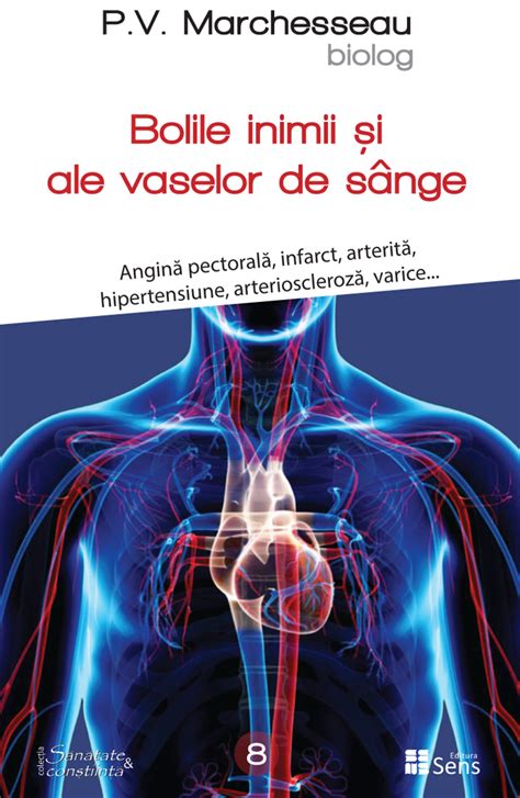 Infografic: Principalele componente ale vascului, efecte asupra vaselor de sânge și rol în metabolism