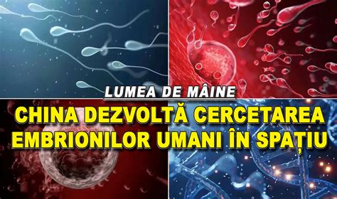Diagramă: embriotransferul și monitorizarea embrionilor în laborator